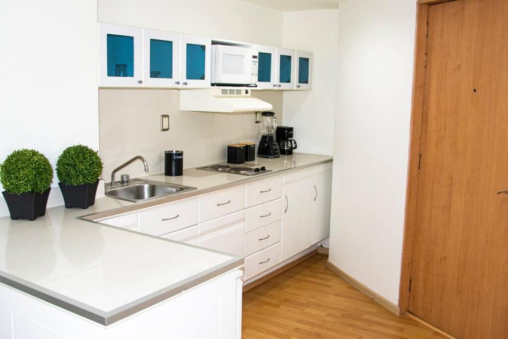 Loft Con Alberca, Gym Dowtown Mexico Leilighet Eksteriør bilde